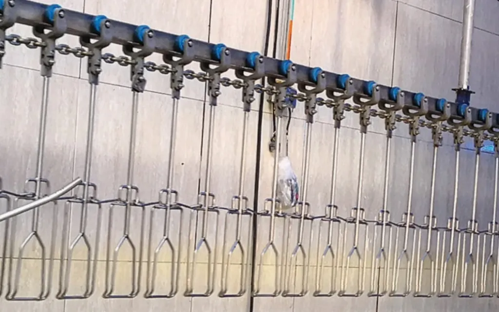 ZONA DE COLGADO.webp